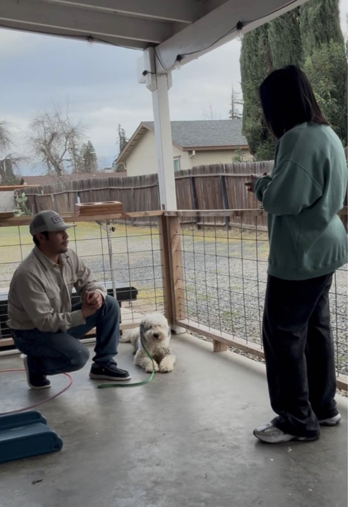 Dog trainer providing private owner coaching
